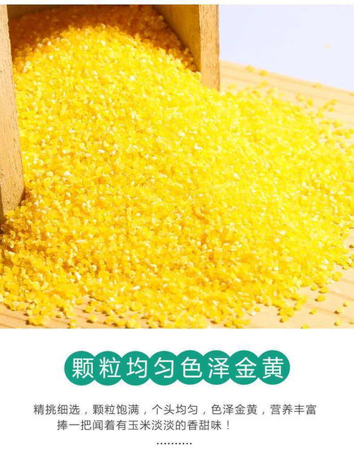 精选河南农家自产玉米糁包谷棒子现磨玉米渣糊粥杂粗粮玉米面
