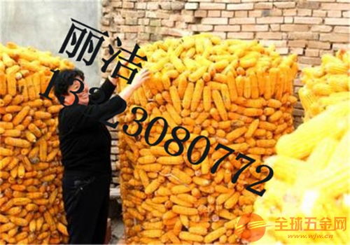 咸宁圈玉米网产品优势 衡阳圈玉米网市场价格圈玉米网规格
