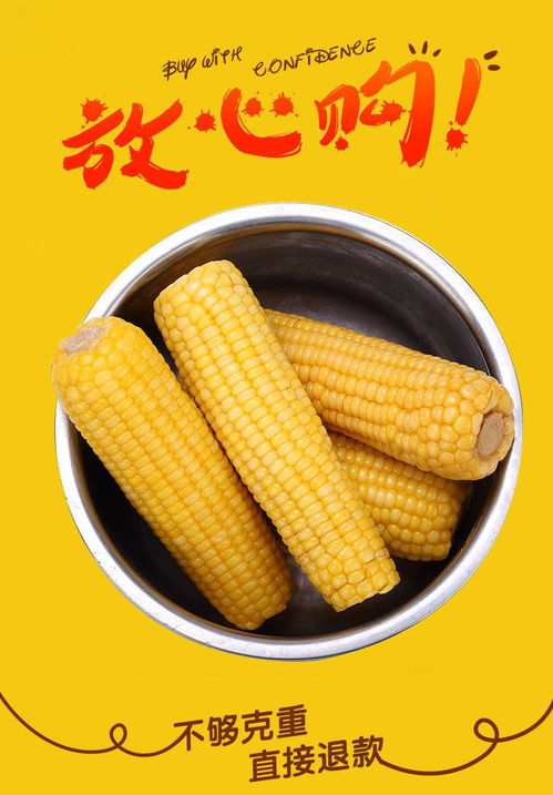 新鲜黄糯玉米粗粮山西特产真空袋装甜粘黏糯白玉米棒